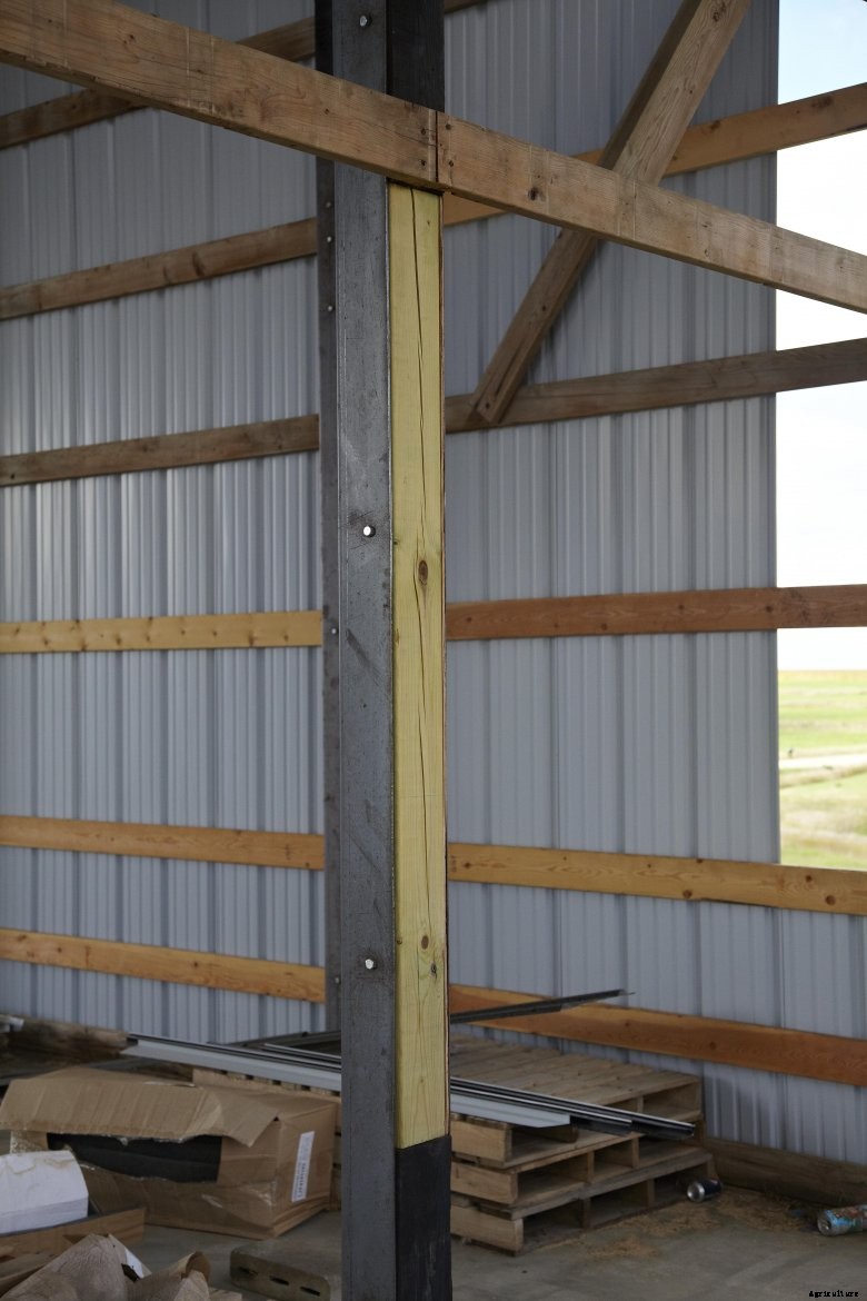 Nathan Todd shop inside